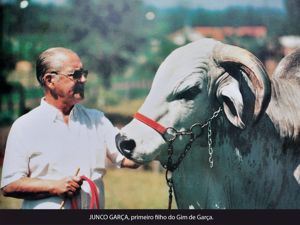 Fazendas JM - Cafezal